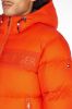 Tommy Hilfiger Winterjack ny hight loft puffer mw0mw27679/scz online kopen