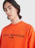 Tommy Hilfiger Sweater tommy logo sweatshirt mw0mw11596/scz online kopen